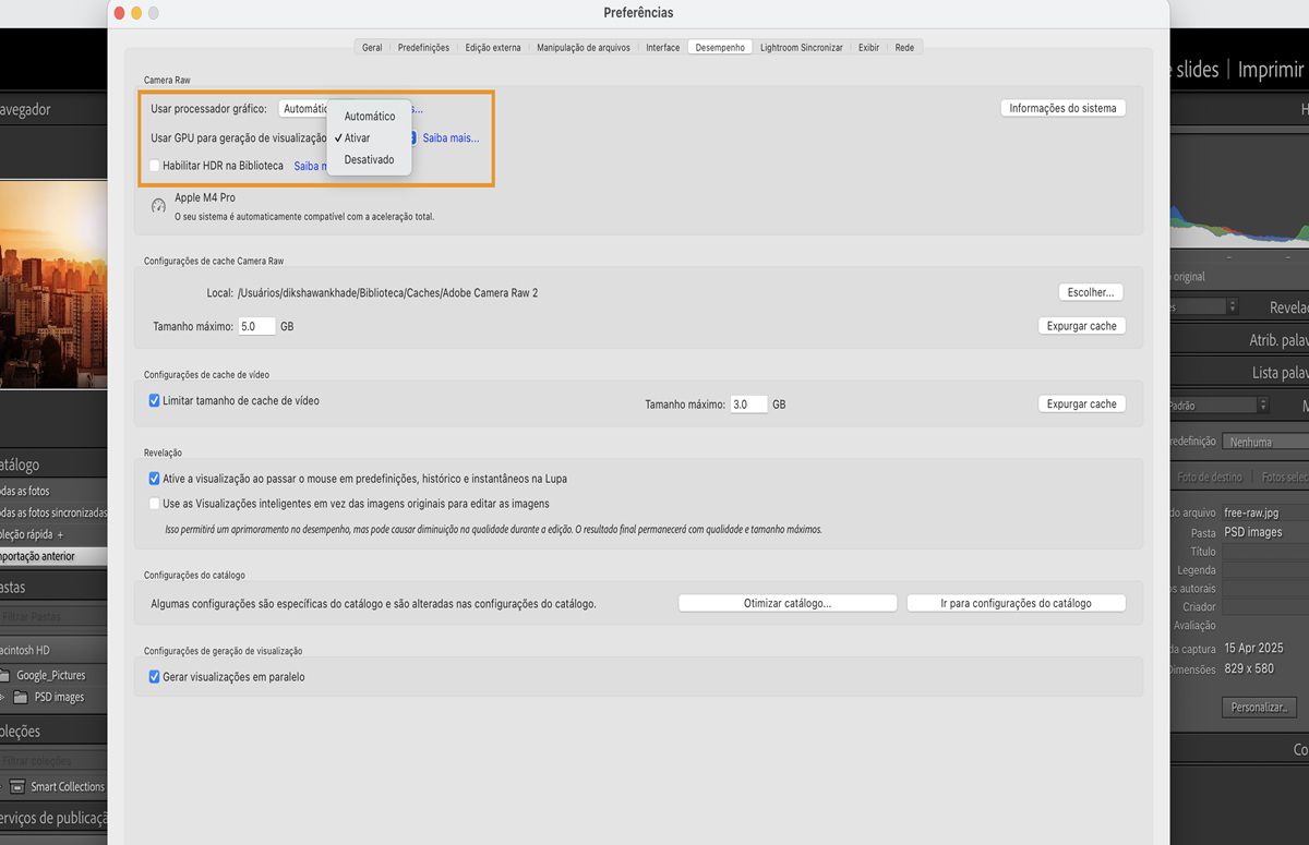 O painel preferência no Lightroom Classic que destaca a funcionalidade para usar uma GPU para geração de visualização. 
