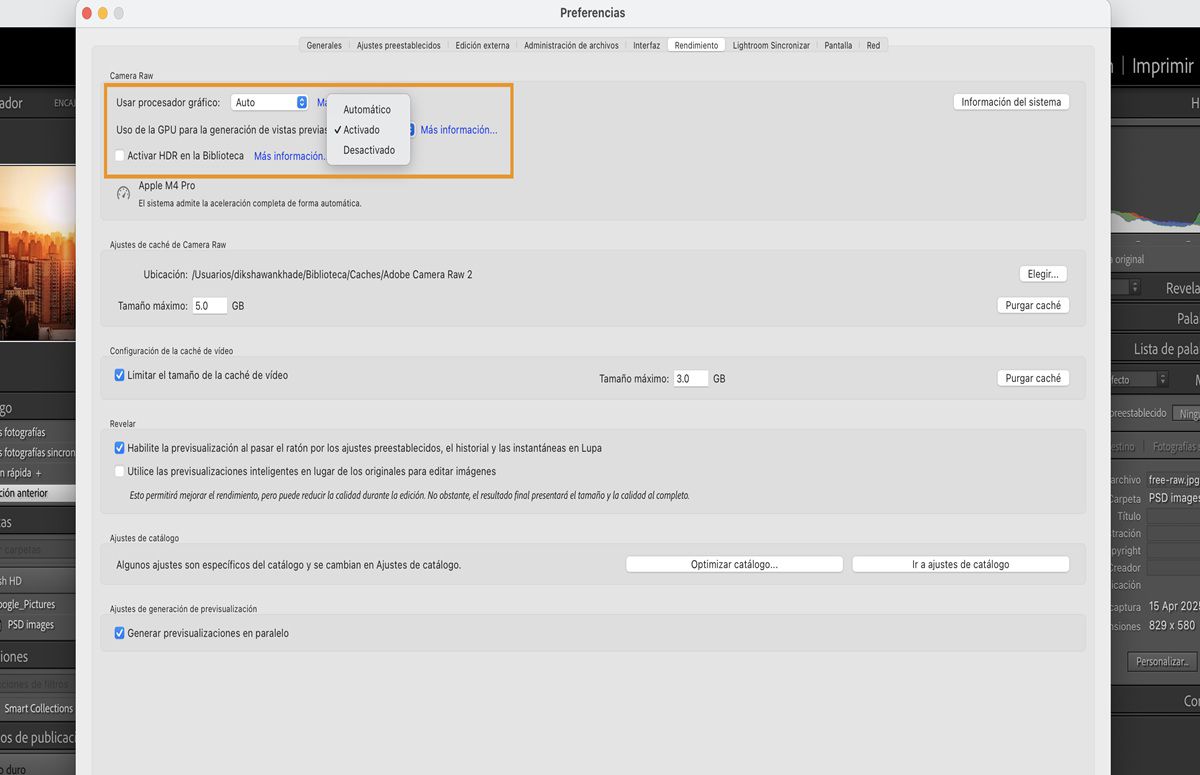 El panel Preferencias en Lightroom Classic que destaca la funcionalidad para utilizar una GPU en la generación de vistas previas. 