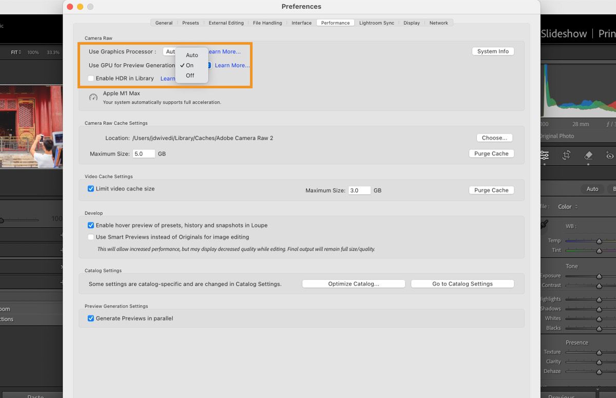 The Preference panel in Lightroom Classic that highlights the functionality to use a GPU for preview generation. 