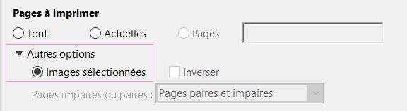 Cliquez sur Édition, Prendre un instantané.