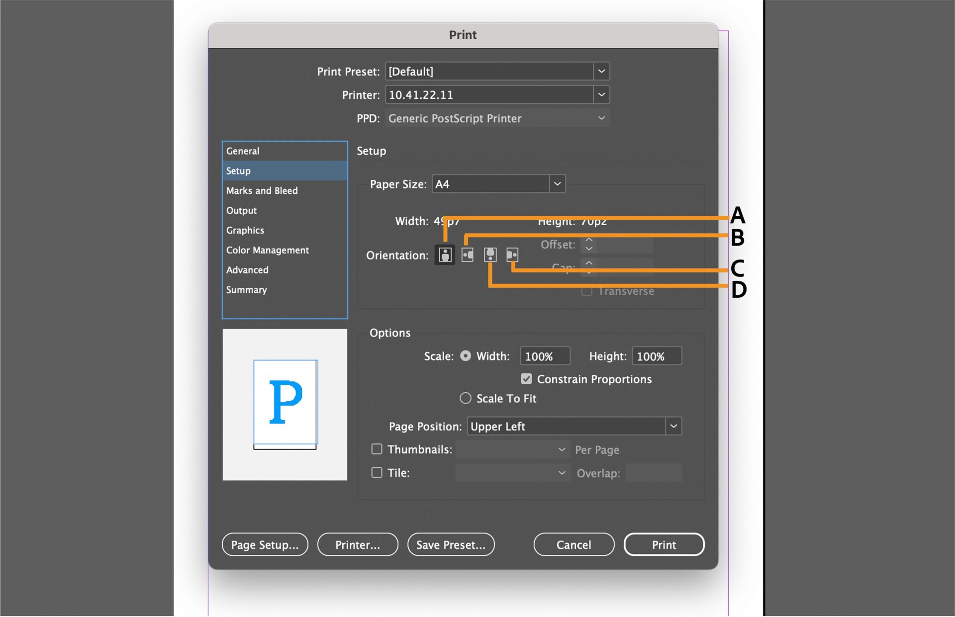 Print dialog interface with setup options, preview pane, and highlighted orientation controls.