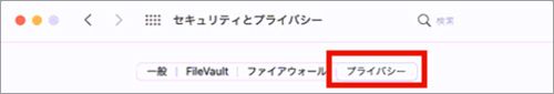 プライバシータブ