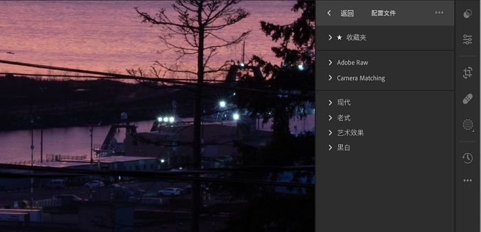 配置文件选项卡中可用的配置文件类型。 