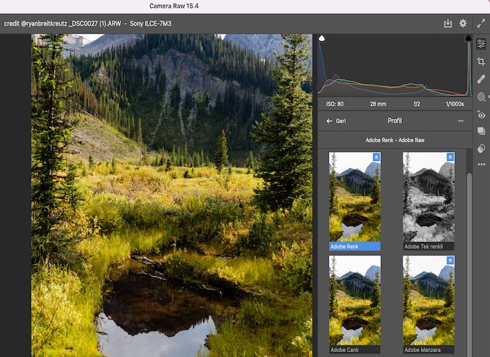 Adobe Camera Raw profilleri