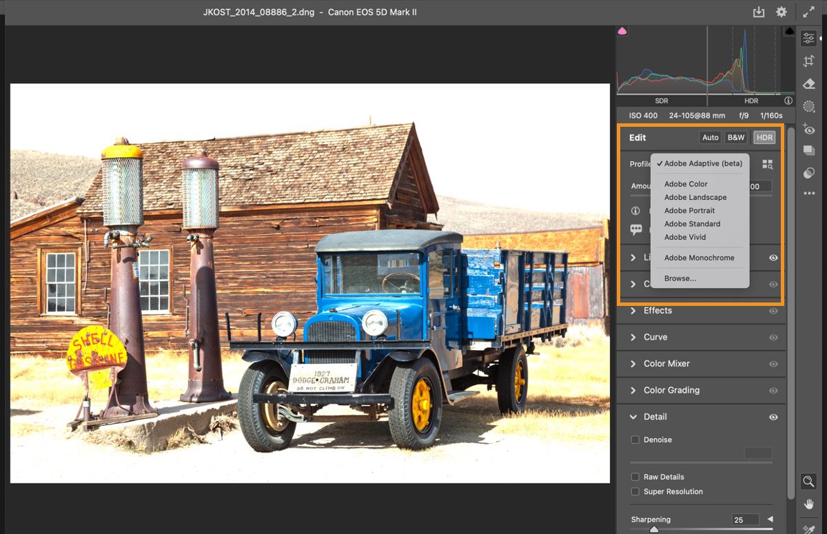 Adobe Camera Raw profile options