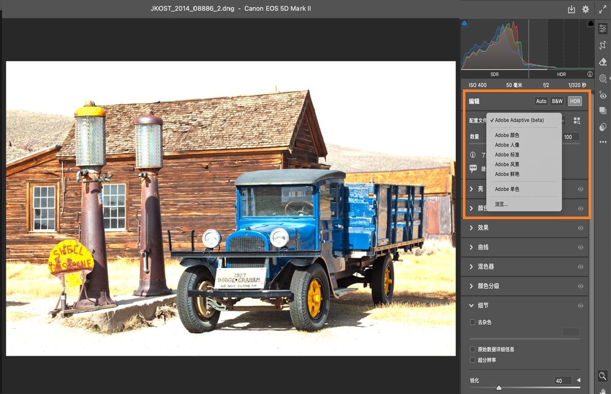 Adobe Camera Raw 配置文件选项