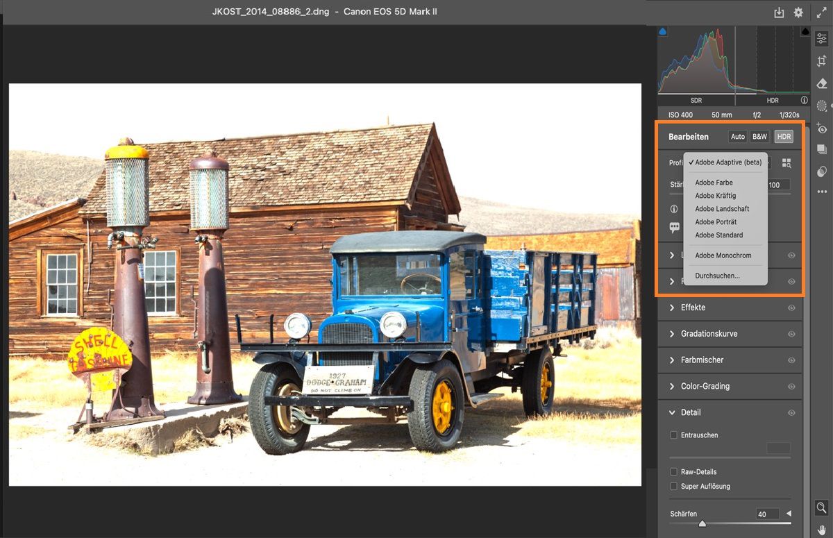 Adobe Camera Raw-Profiloptionen