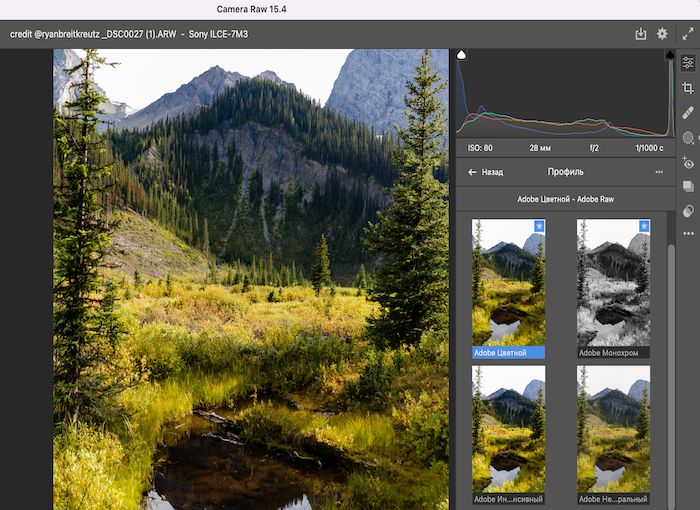профили в adobe camera raw