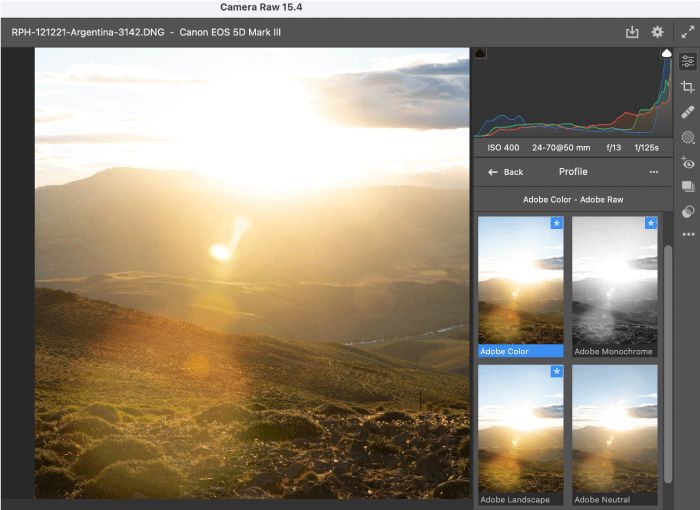 profiles in adobe camera raw