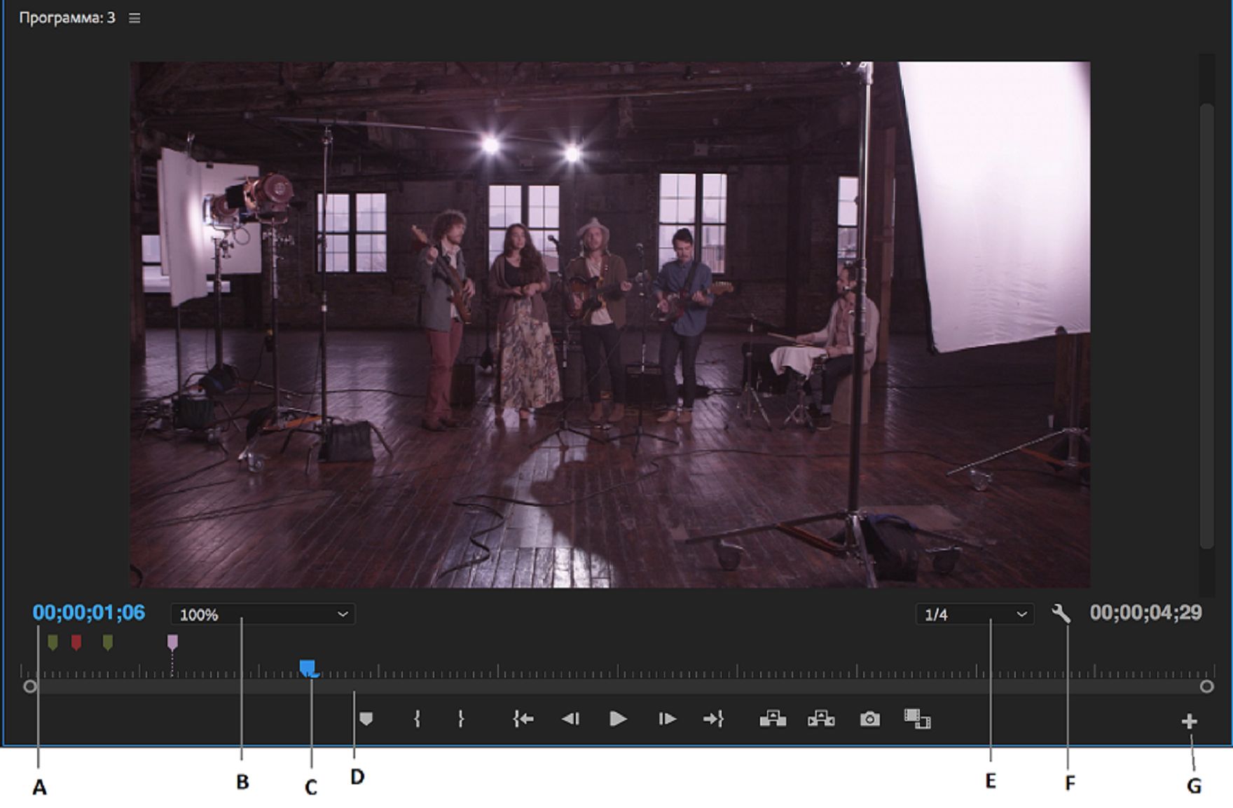 Программный монитор