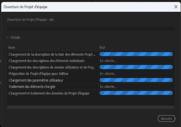 Lorsque vous ouvrez un Projet d’équipe, les composants du projet commencent à se charger et affichent le statut de chargement.