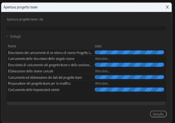 Quando apri un progetto team, i componenti del progetto iniziano il caricamento e visualizzano lo stato di caricamento.