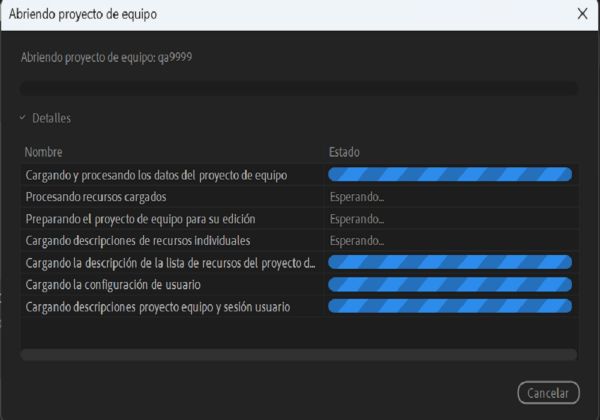 Al abrir un Proyecto de equipo, los componentes del proyecto comienzan a cargarse y muestran el estado de carga.