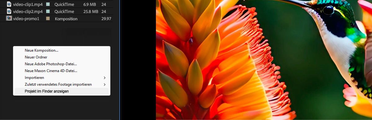 Dateien werden im Bedienfeld „Projekt“ angezeigt, und es ist ein Kontextmenü mit mehreren Optionen geöffnet, wobei die Option „Projekt im Finder anzeigen“ gerade ausgewählt ist.