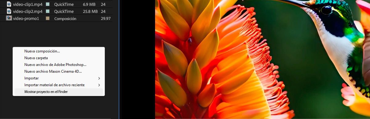 Los archivos se muestran en el panel Proyecto y se abre un menú contextual con varias opciones, con la opción Mostrar proyecto en Finder seleccionada actualmente.