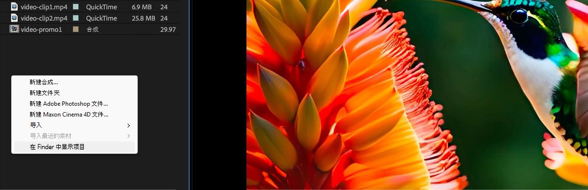 文件显示在“项目”面板中，一个具有多个选项的上下文菜单已打开，并且当前已选择“在 Finder 中显示项目”选项。