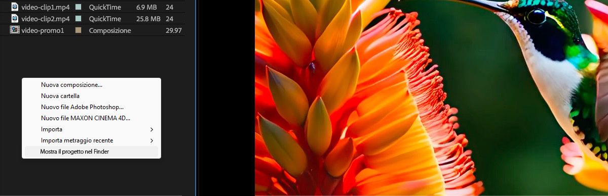 I file vengono visualizzati nel pannello Progetto ed è aperto un menu di scelta rapida con più opzioni, con l’opzione Mostra progetto nel Finder attualmente selezionata.