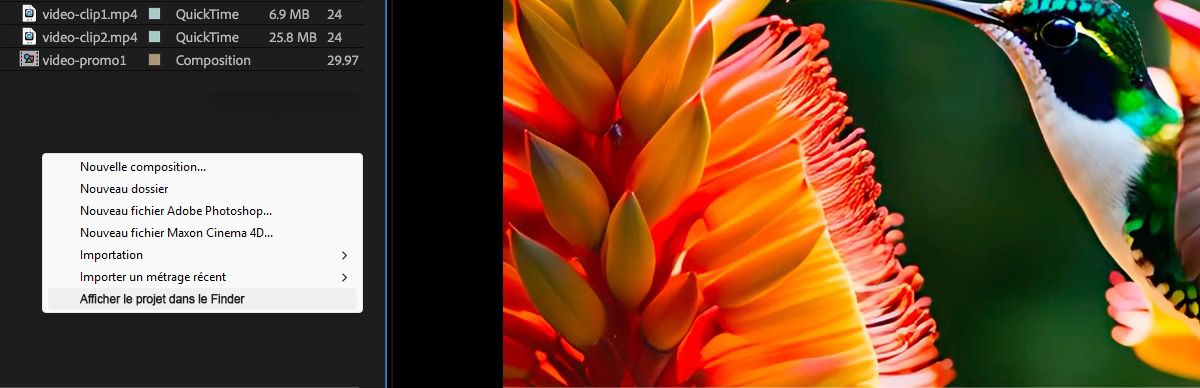 Les fichiers sont affichés dans le panneau Projet, et un menu contextuel avec plusieurs options est ouvert, avec l’option Afficher le projet dans le Finder actuellement sélectionnée.