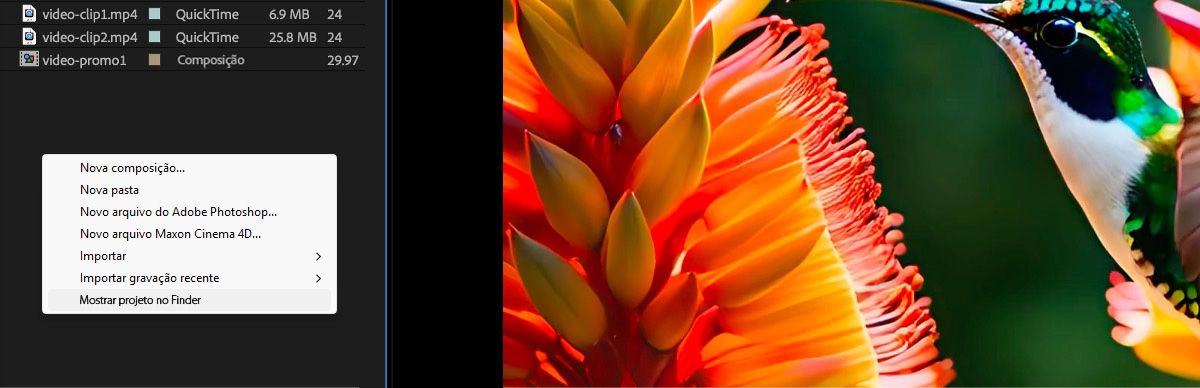 Os arquivos são exibidos no painel Projeto e um menu de contexto com várias opções está aberto, com a opção Revelar projeto no Finder selecionada no momento.