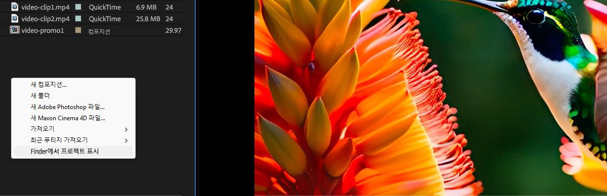 프로젝트 패널에 파일이 표시되고 여러 옵션이 있는 컨텍스트 메뉴가 열려 Finder에 프로젝트 표시 옵션이 선택되어 있습니다.