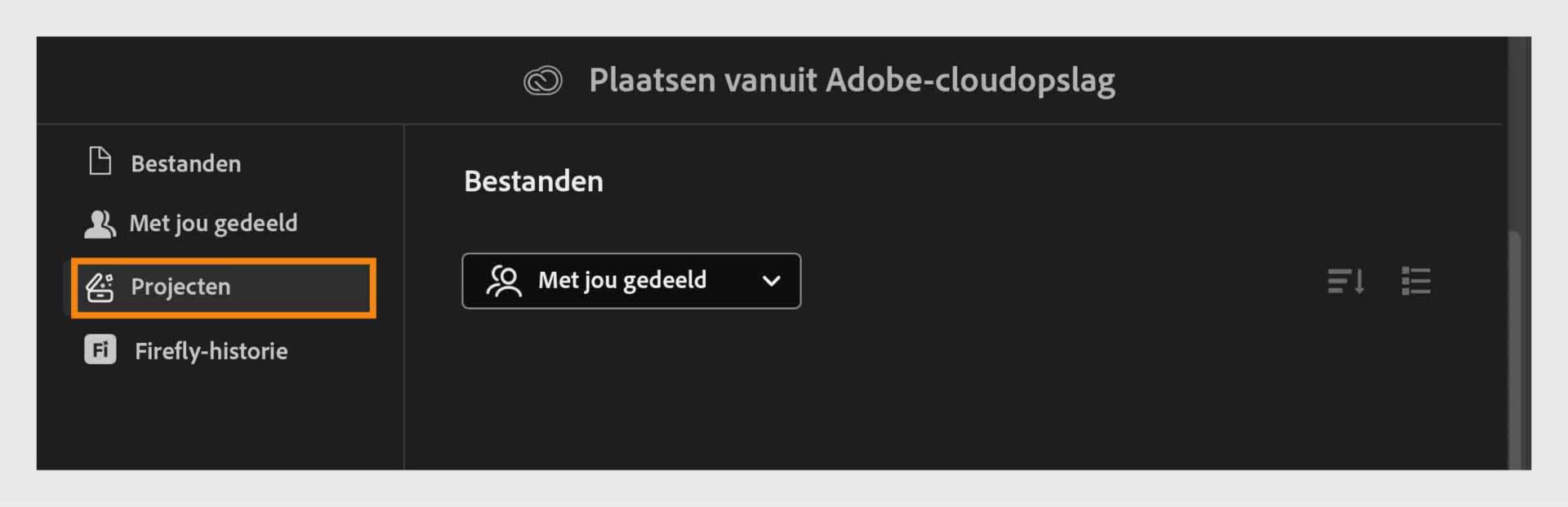 Open het tabblad Projecten in Adobe-cloudopslag om bestanden die met je gedeeld zijn te verkennen en te beheren.