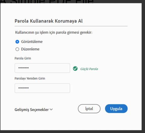 Parola kullanarak korumaya al