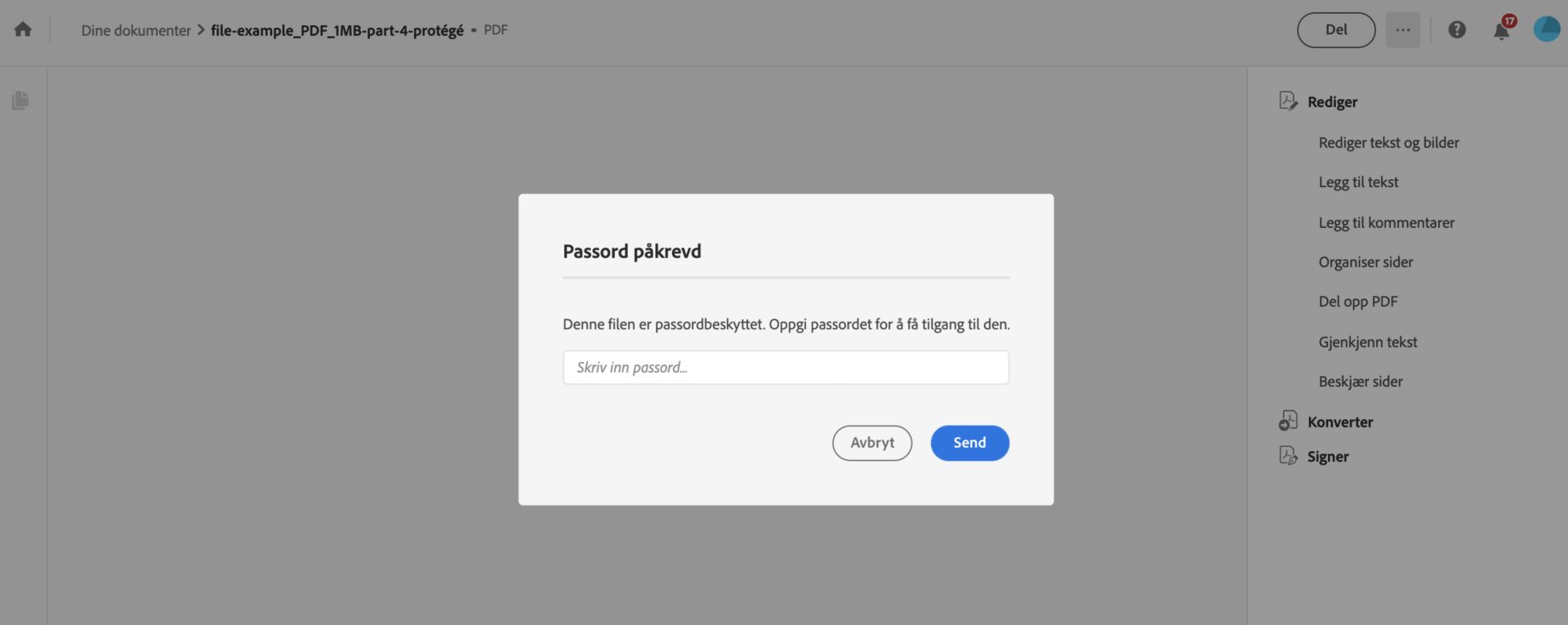 Skrive inn passord for å se den beskyttede PDF-filen