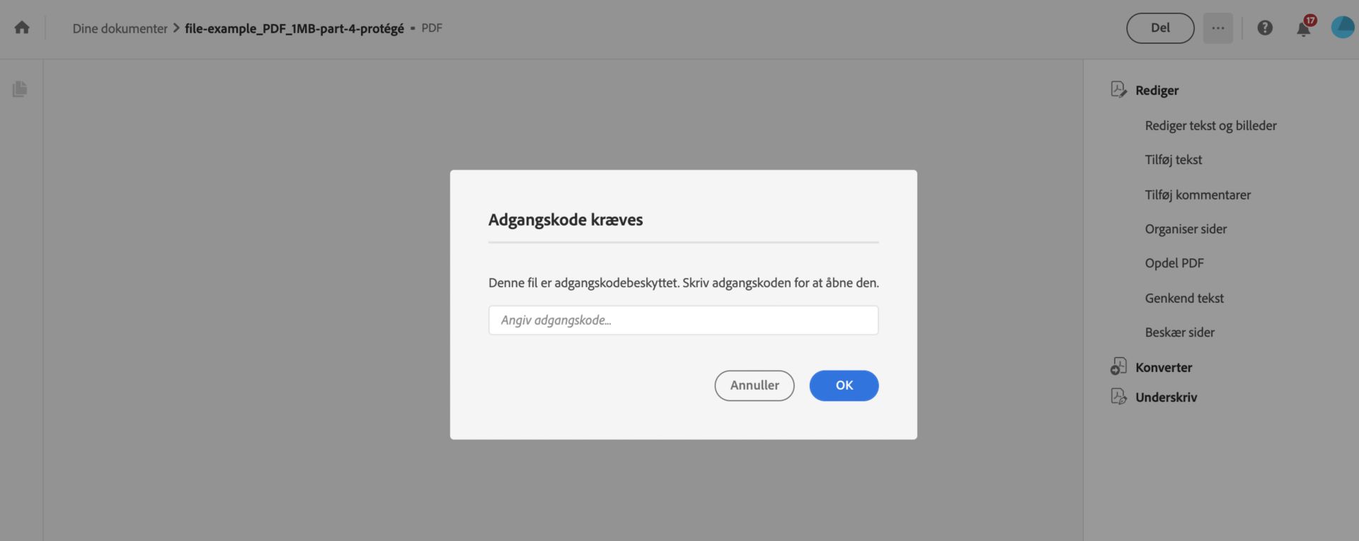 Indtast adgangskoden for at se den beskyttede PDF