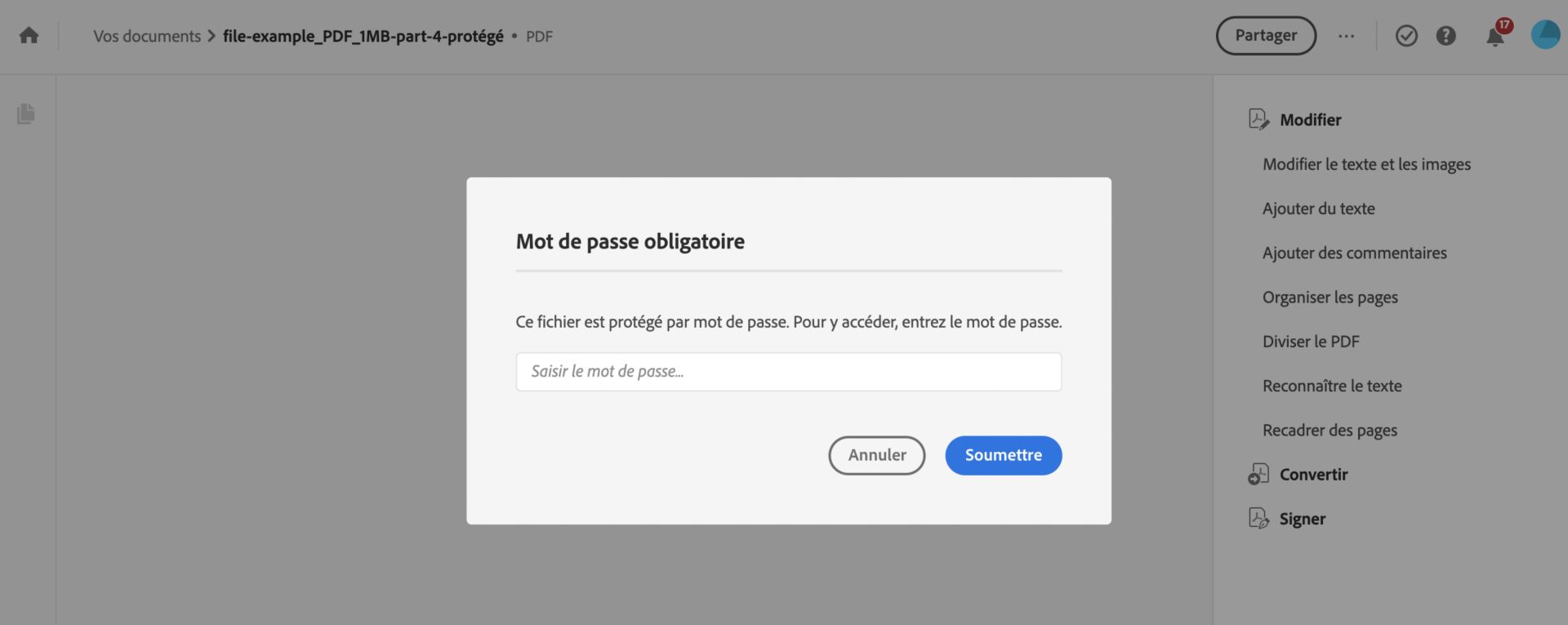 Saisie du mot de passe pour afficher le fichier PDF protégé