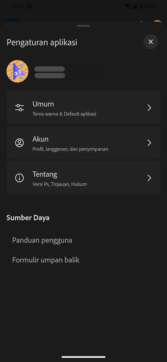 Screenshot pengaturan Umum pada Photoshop di Android (Beta).
