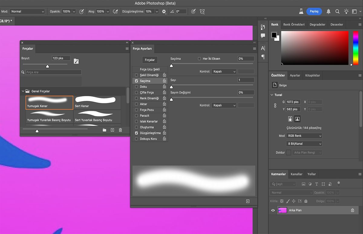 Fırça Ayarları panelinde sunulan fırça ucu şekli seçenekleri arasından seçim yapma
