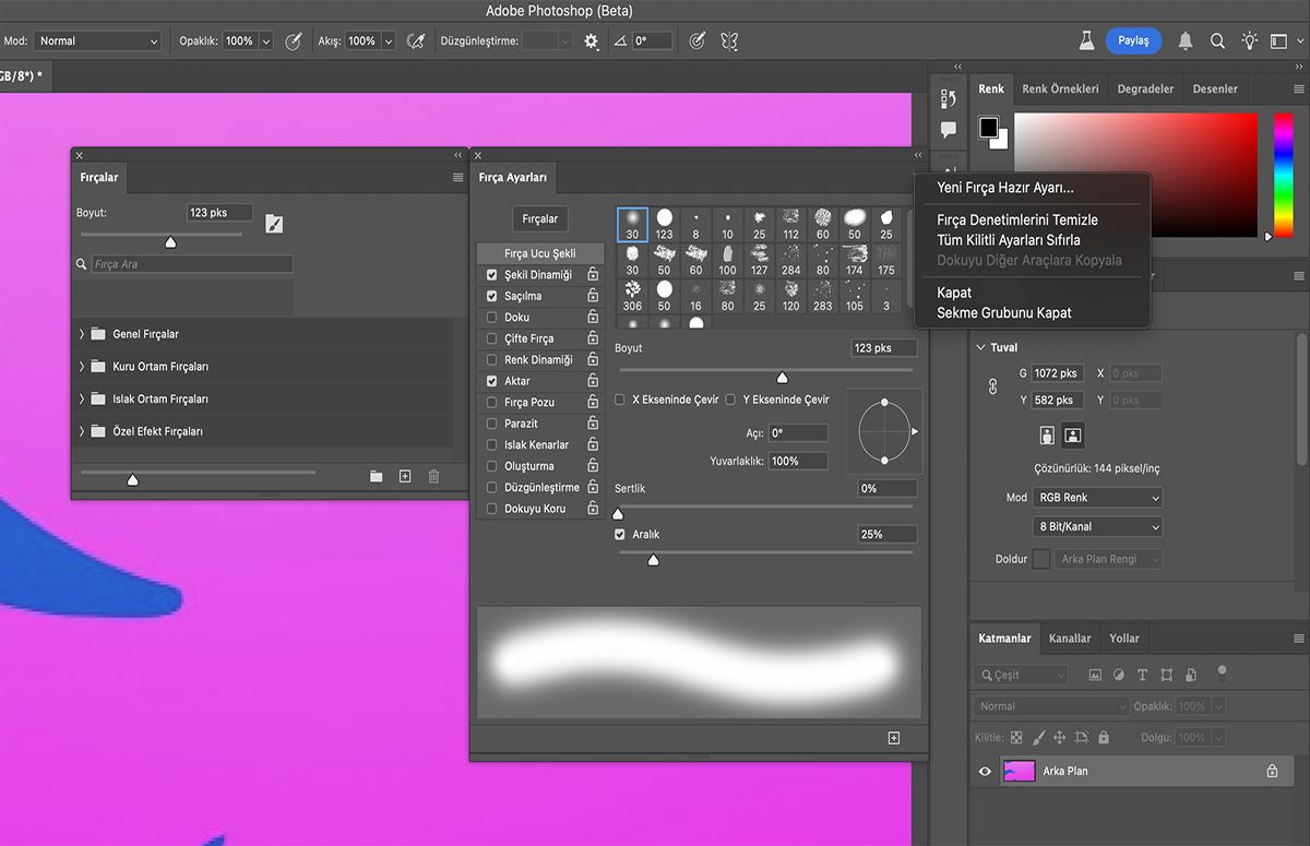 Fırça seçeneklerini temizlemek için Fırça Ayarları menüsünde Fırça Kontrollerini Temizle'yi seçme