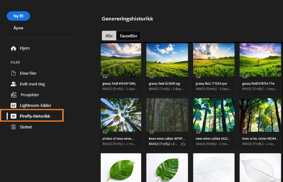 Firefly-genereringshistorikkpanelet viser det uthevede Firefly-historikkverktøyet, som brukes til å generere ressurser.