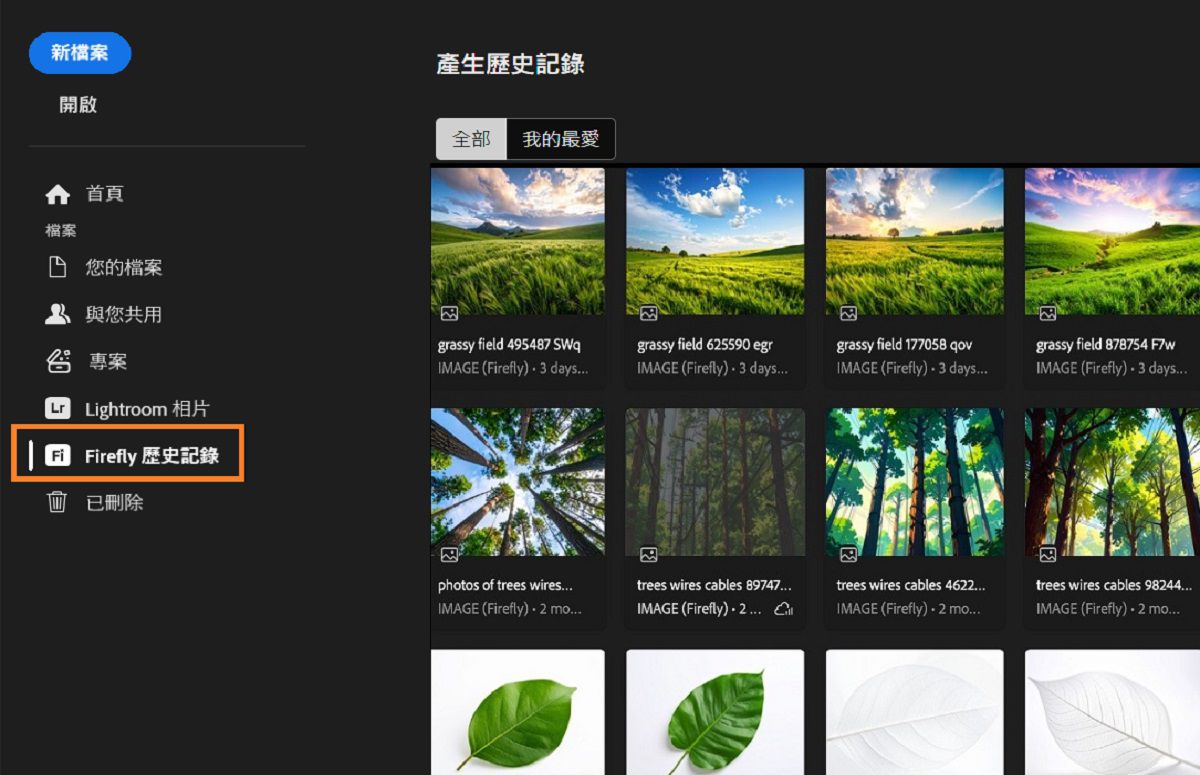 Firefly 生成歷史記錄面板顯示已反白的 Firefly 歷史記錄工具，用於生成資產。