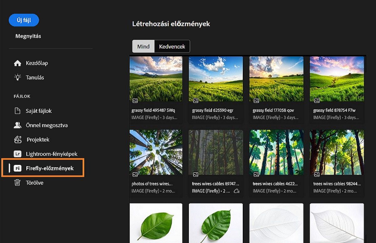 A Fireflyjal létrehozott korábbi képeket tartalmazó panelen kiemelt Firefly-előzmények eszköz, amellyel fájlokat lehet generálni
