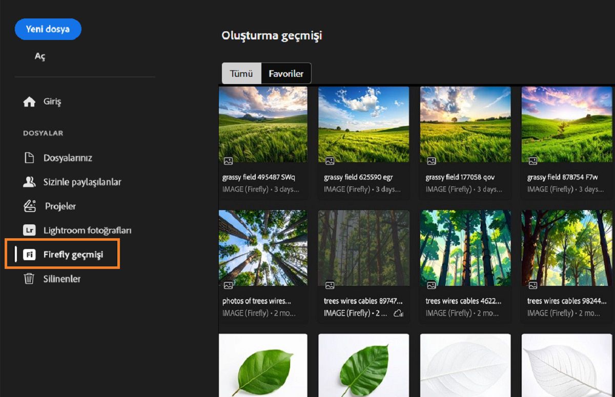 Firefly oluşturma geçmişi panelinde varlık oluşturmak için kullanılan, vurgulanmış Firefly geçmişi aracı gösterilir. 