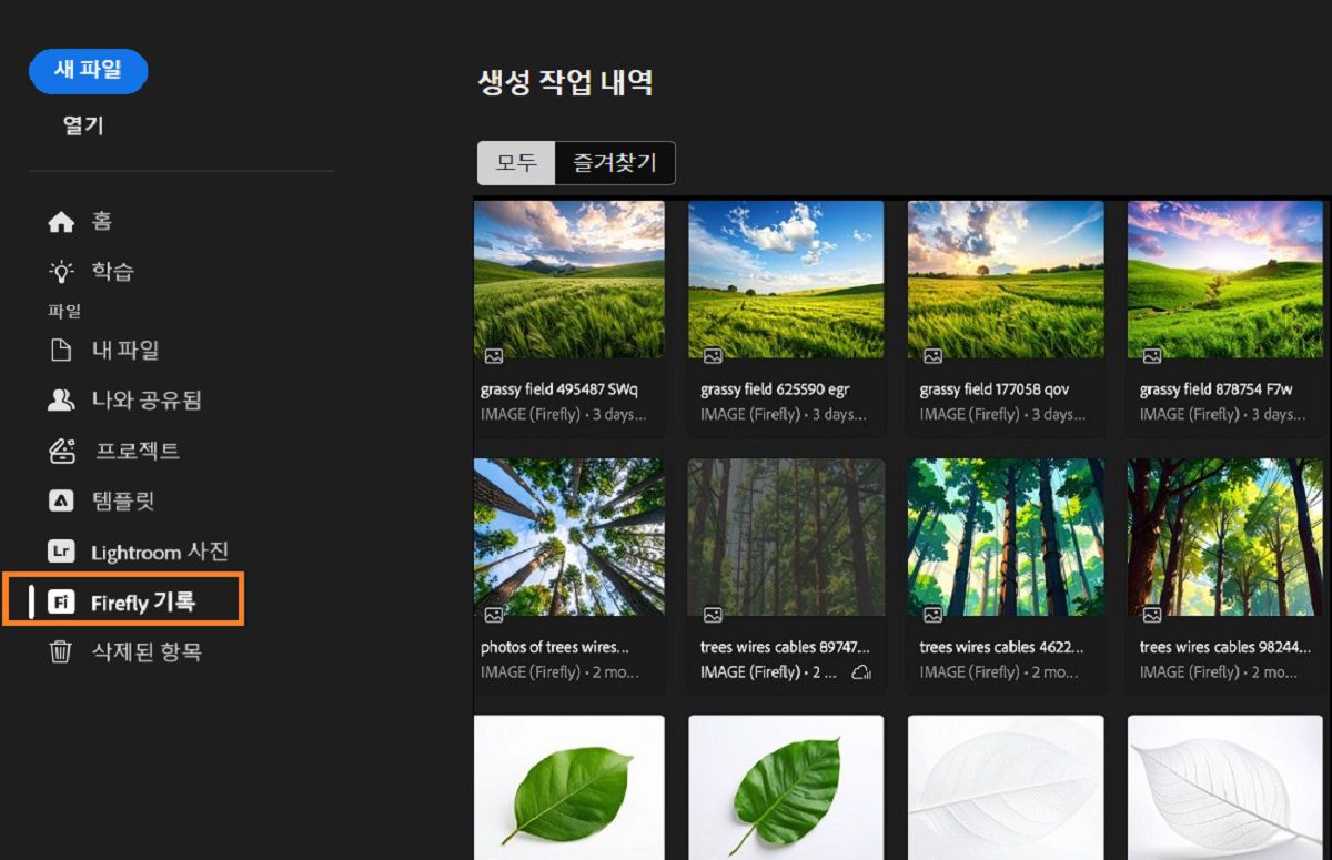 Firefly 생성 작업 내역 패널에는 에셋을 생성하는 데 사용되는 강조 표시된 Firefly 작업 내역 도구가 표시됩니다.