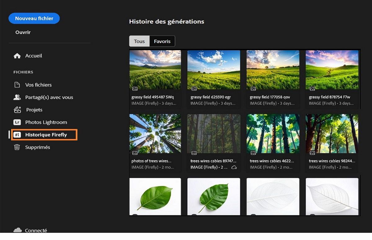 Le panneau Historique de génération Firefly affiche l’outil Historique firefly en surbrillance, qui est utilisé pour générer des ressources. 