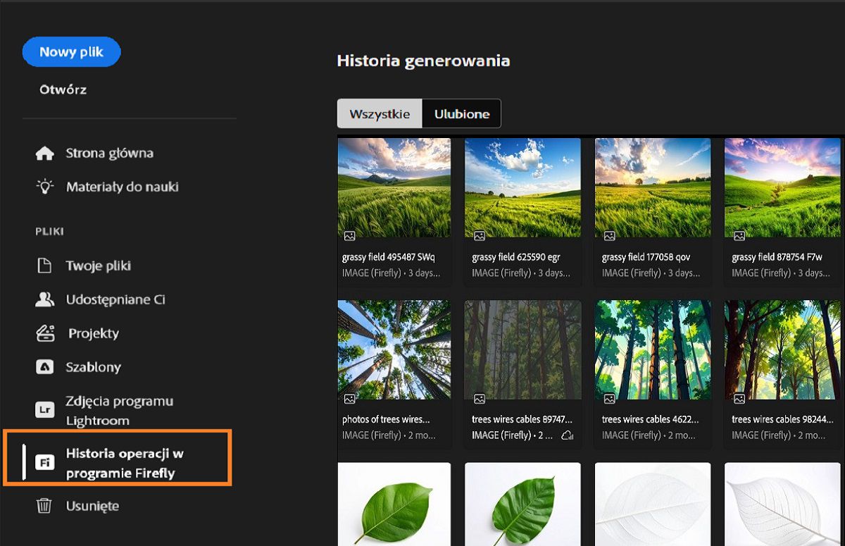 O painel Histórico de geração do Firefly mostra a ferramenta de Histórico do Firefly em destaque, que é usada para gerar ativos.