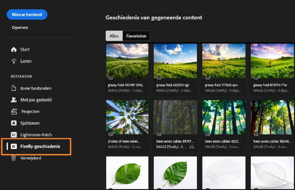 Het deelvenster Firefly-generatiehistorie toont de gemarkeerde tool Firefly-historie die wordt gebruikt om assets te genereren. 