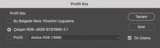 Photoshop'ta Profil Ata (Düzenle Menüsü > Profil Ata)