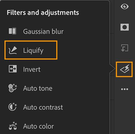 Liquify now available in Filters and adjustments in Ps-iPad