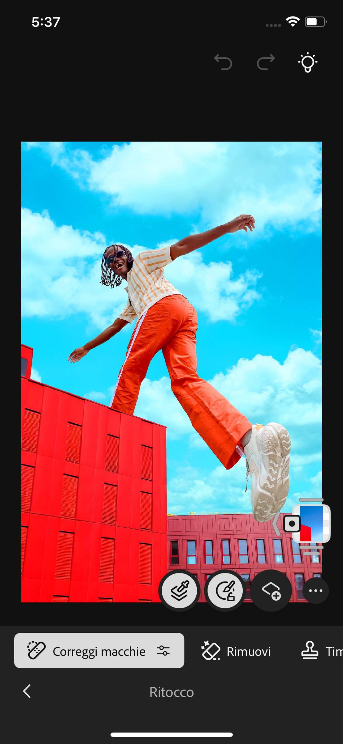 Il pannello Ritocco è aperto e vengono mostrate le opzioni per rimuovere le macchie, schiarire, scurire e altro ancora.