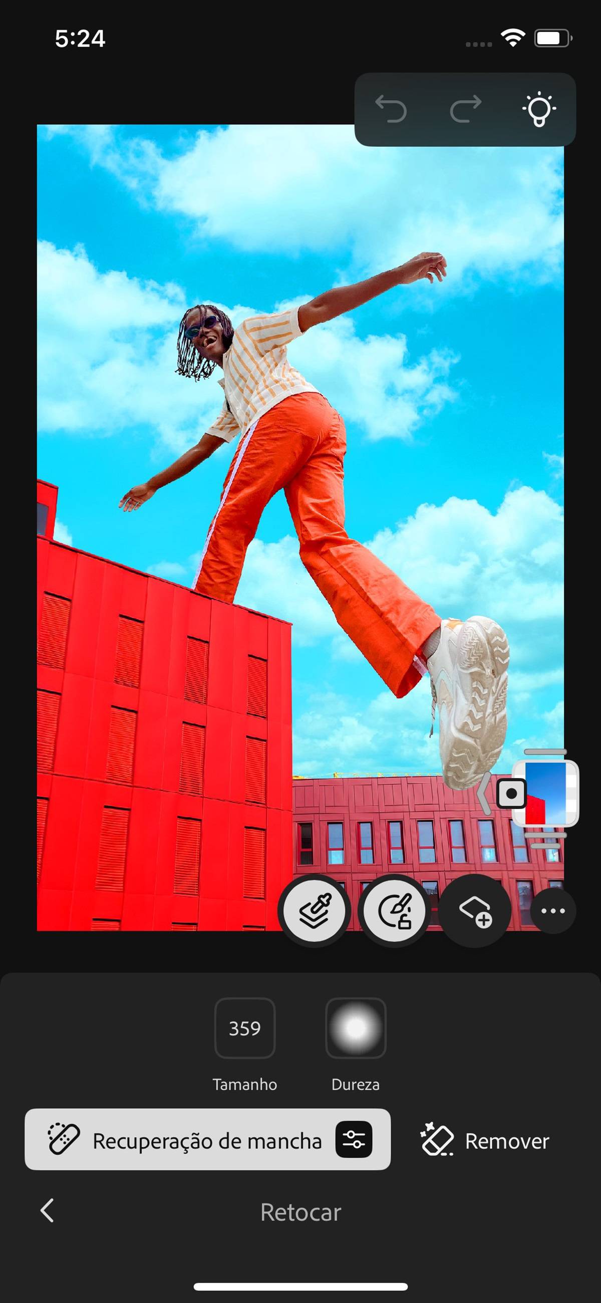 O painel Retocar abre, mostrando opções para remover manchas, clarear, escurecer e muito mais.