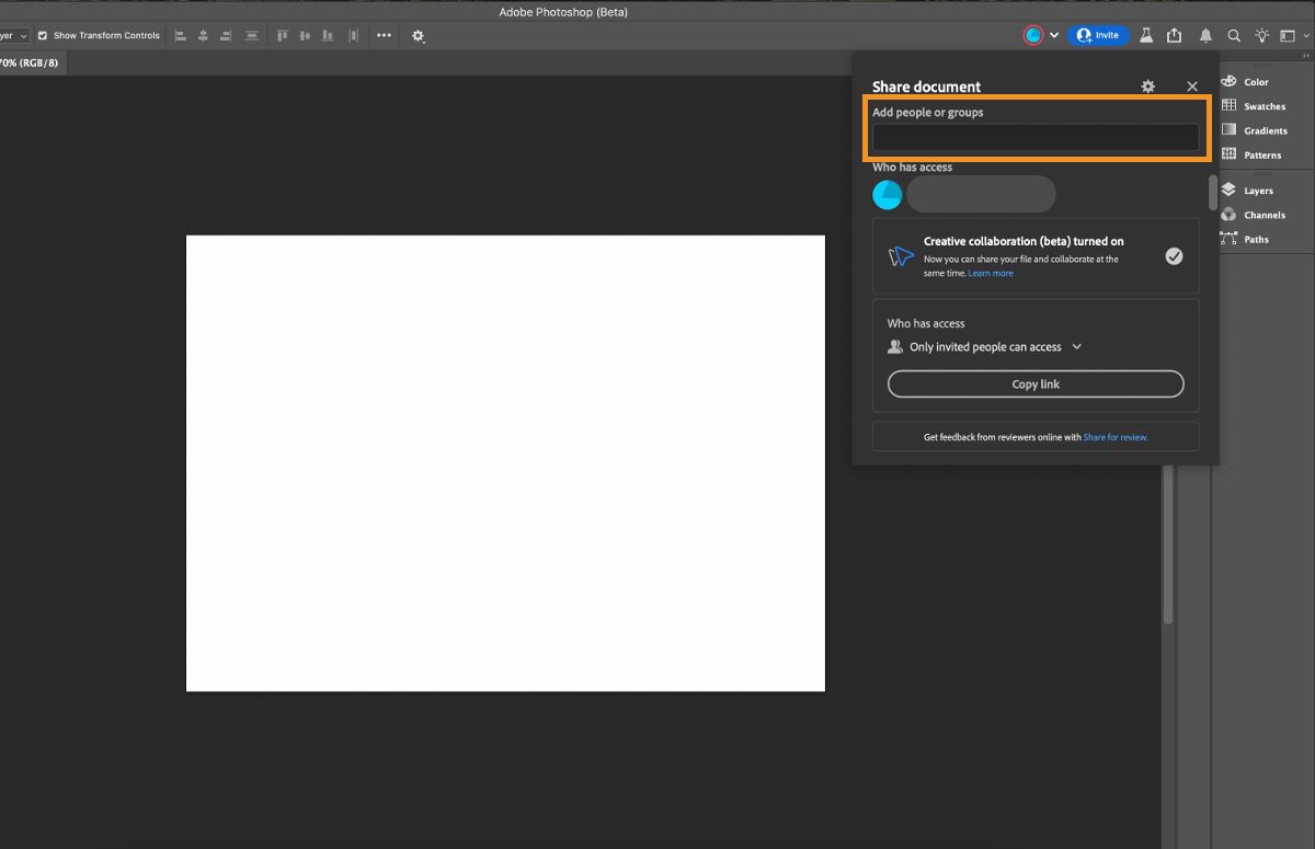 Photoshop (Beta) の UI にドキュメントを共有ダイアログボックスが表示されています。共同作業のためにファイルを共有する際は、ここに名前とメールアドレスを入力できます。