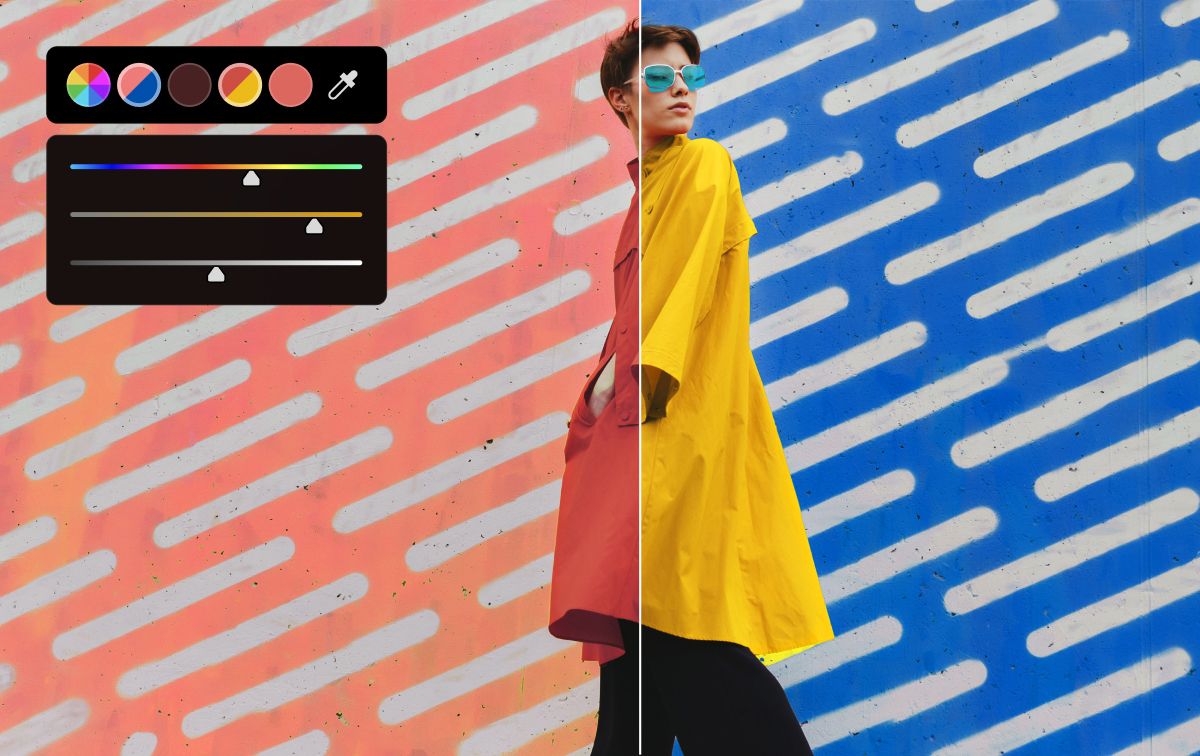 Un dibujo animado de una foca con gafas de sol en un plato