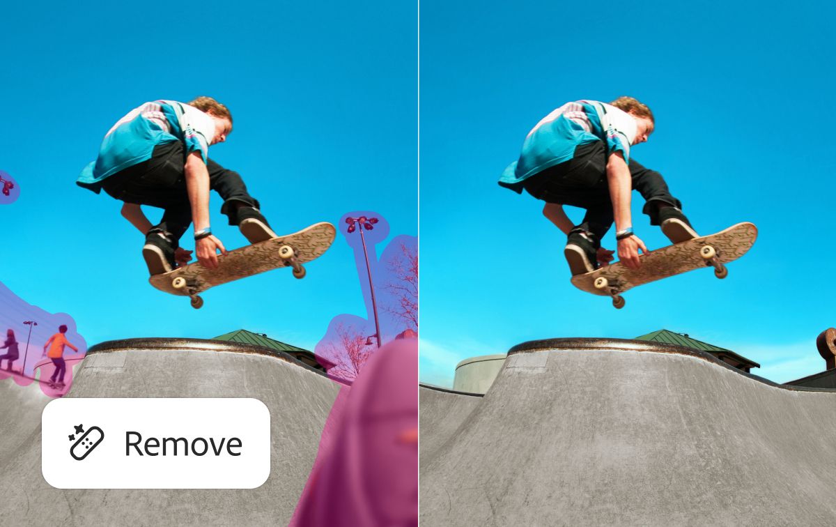 A cartoon of a seal with sunglasses on a plate