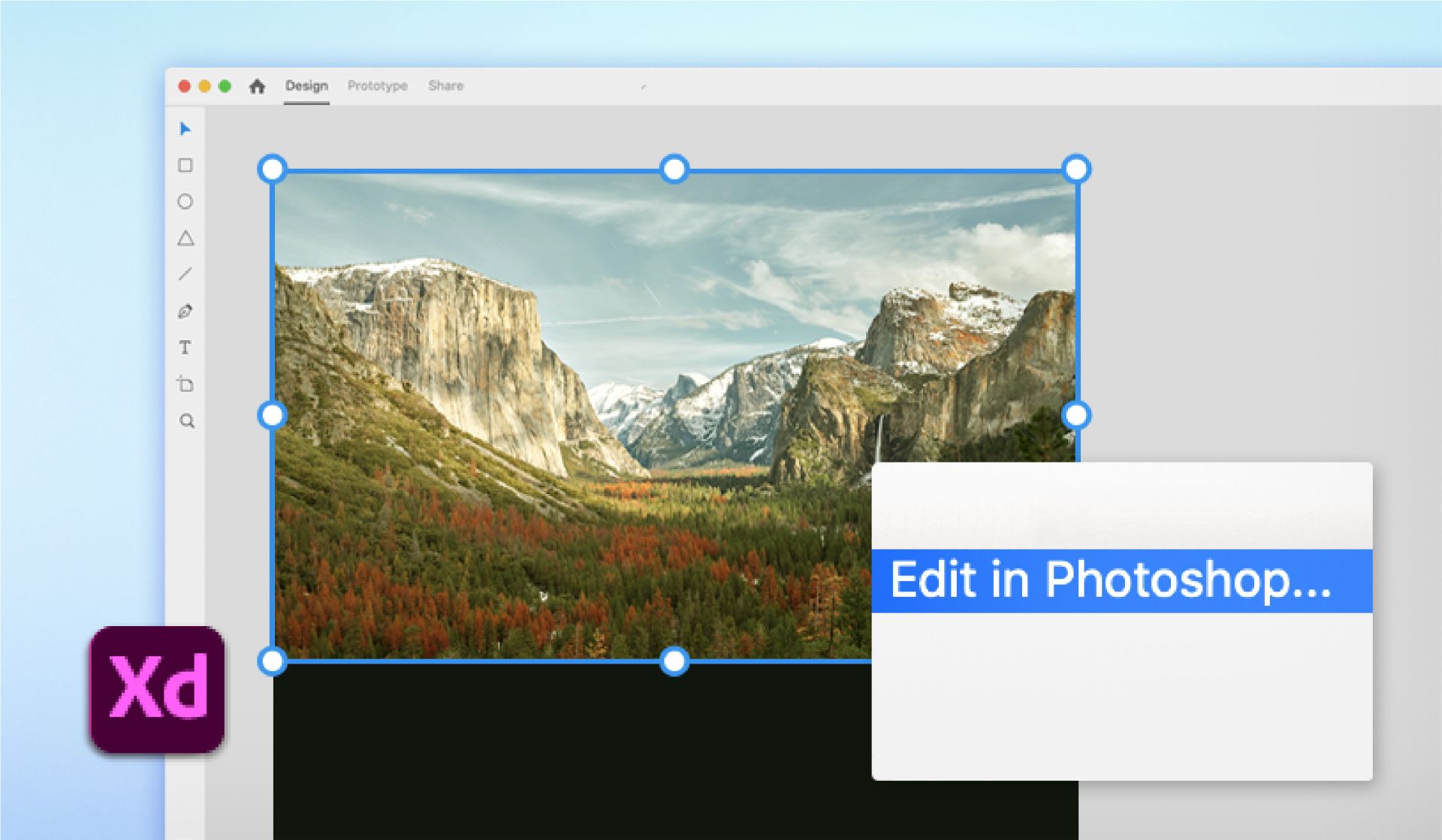 Редактирование в XD