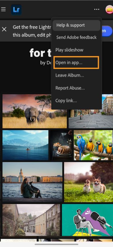 Lightroom album titled ‘Hi’ with a photo grid, an Open button at the top, and bottom buttons for share, refresh, and edit.