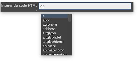 Quick Tag Editor en mode Insérer HTML.
